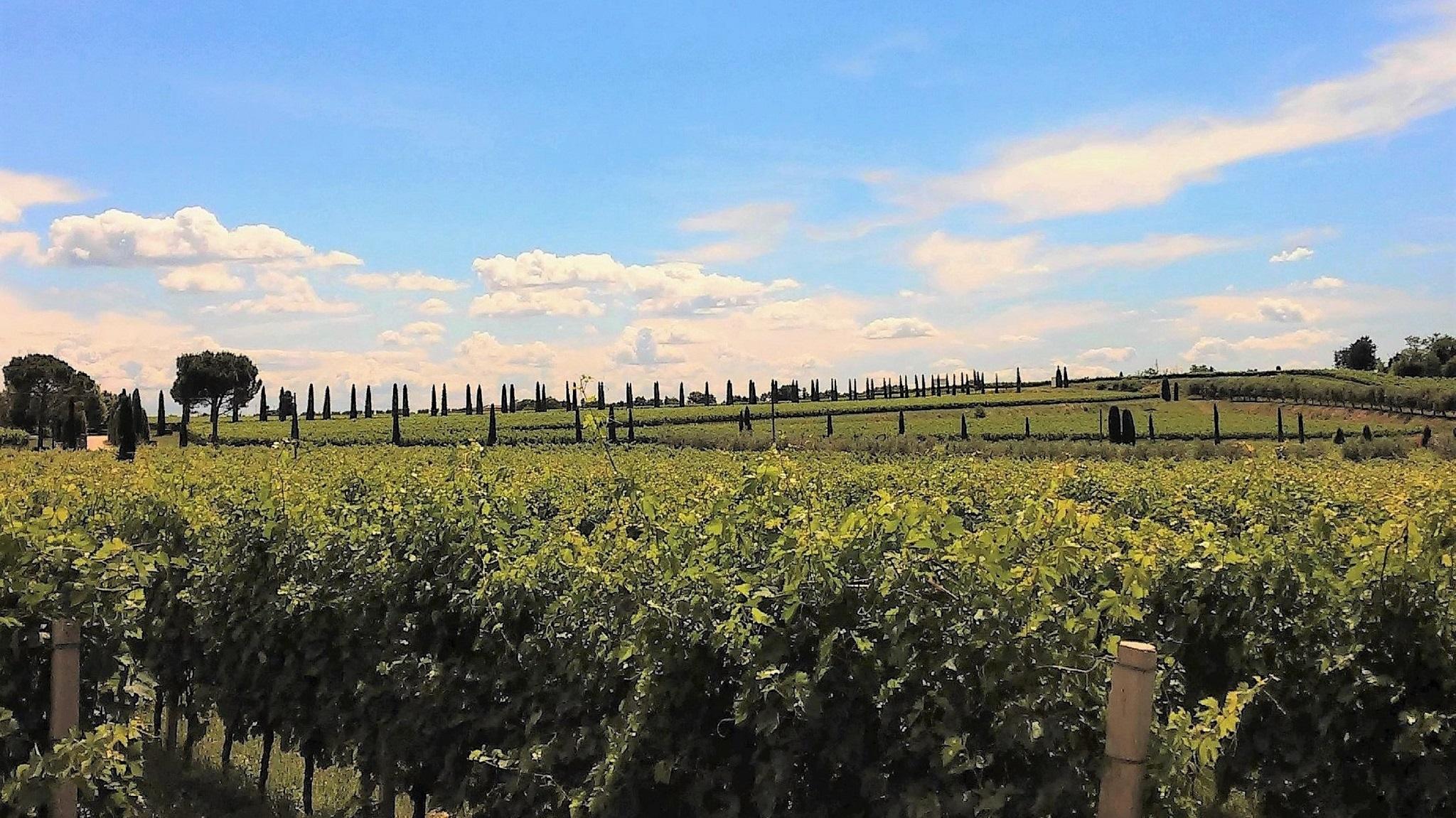 Borgo Romantico Relais Cavaion Veronese Esterno foto